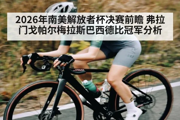 2026年南美解放者杯决赛前瞻 弗拉门戈帕尔梅拉斯巴西德比冠军分析